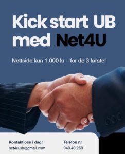 Nettside til kun 1000kr!